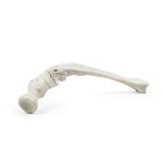 Смола Demo Bone, цвет Bone (костный)