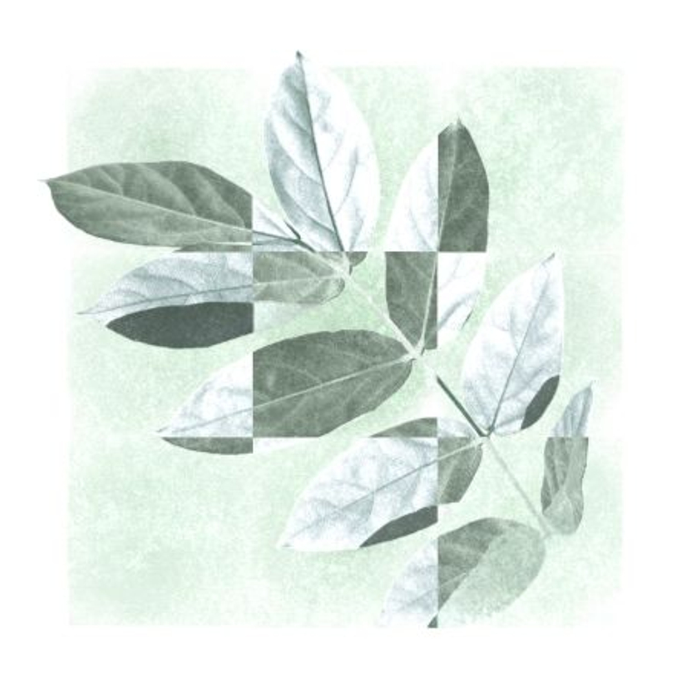 Альбом PARK JEONGWOONG - SUMMER