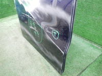 DSCN8516.JPG