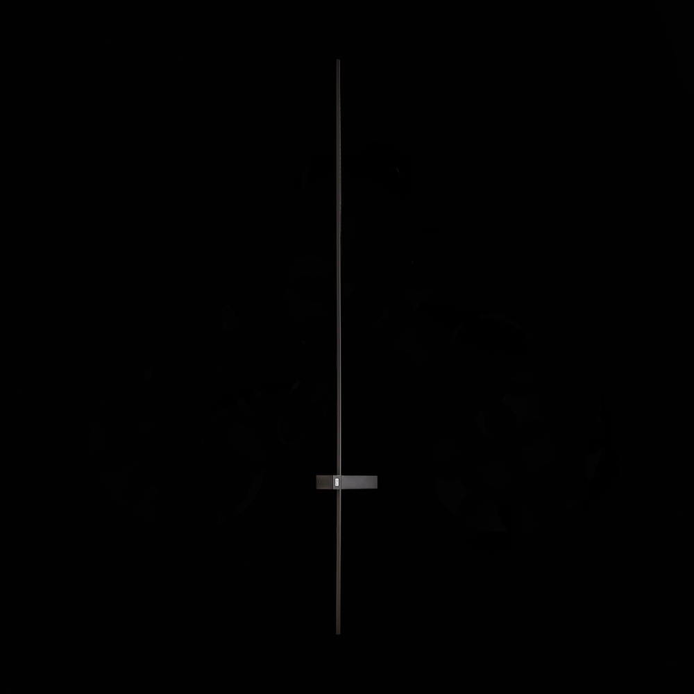 Светильник настенный ST Luce SL1589.411.01