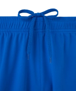 Шорты игровые Jogel DIVISION PerFormDRY Union Shorts, синий Z2