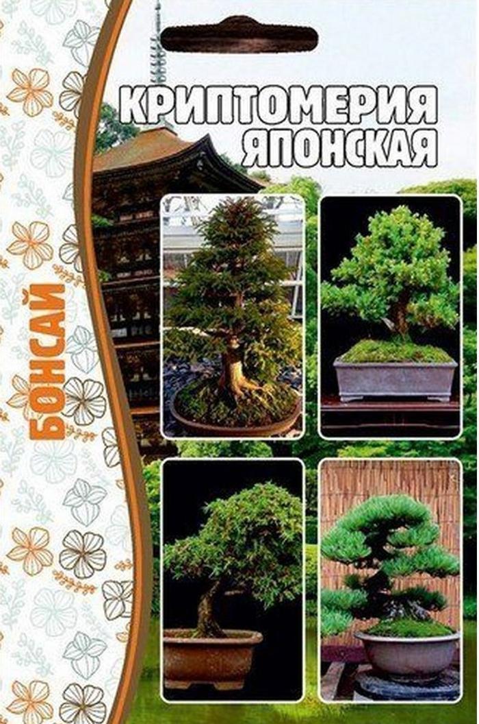 Криптомерия японская Бонсай 3 ШТ. 87.72 0019