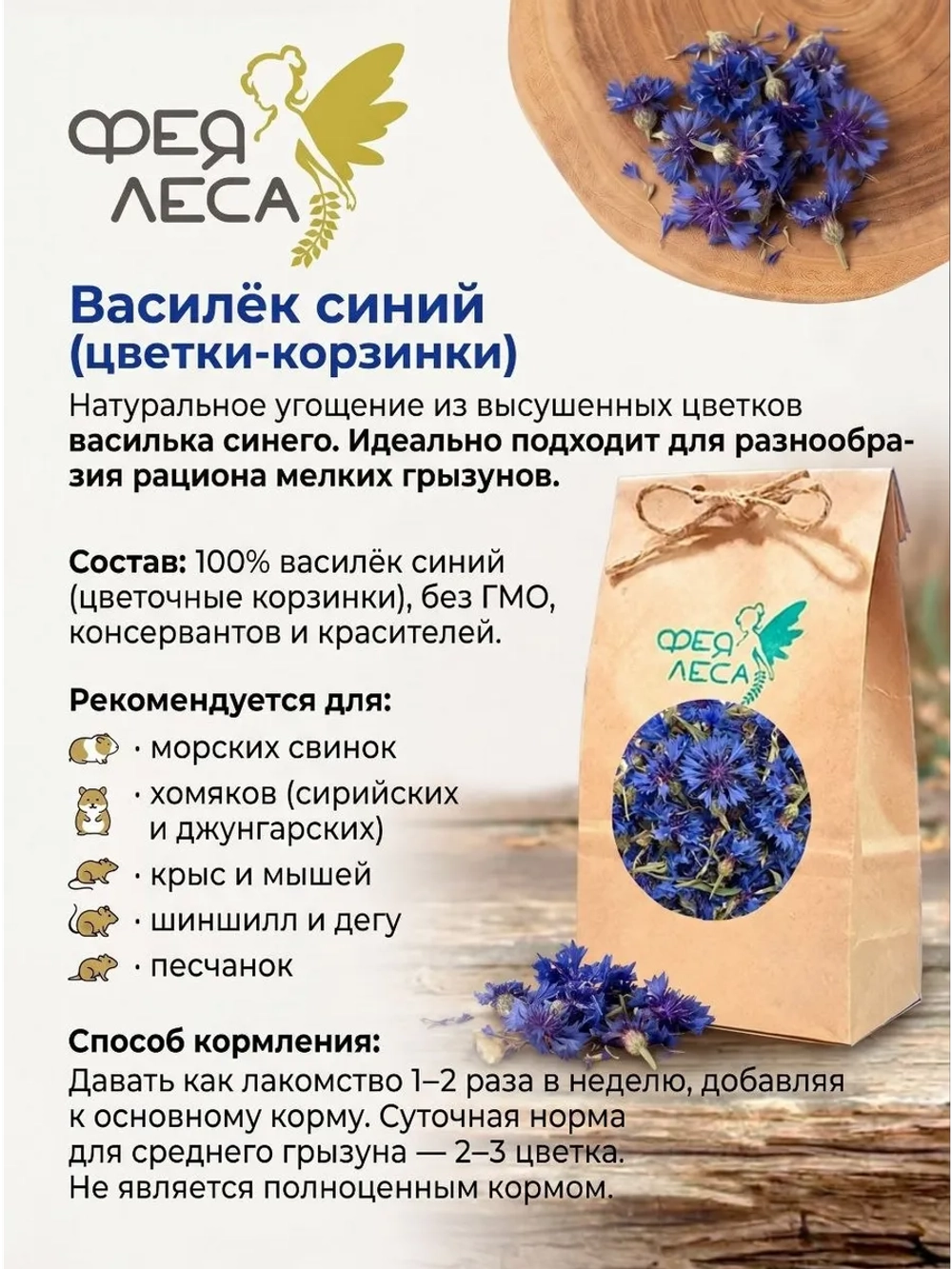 Василёк синий цветы-корзинки для чая и декора
