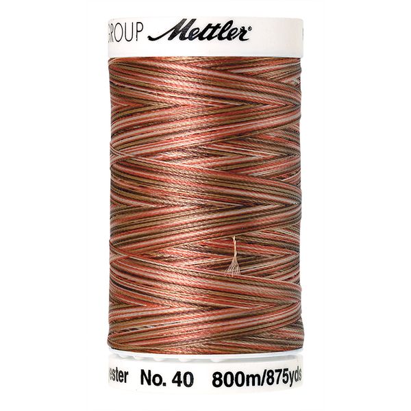Нить вышивальная Mettler Poly Sheen Multi #40 (800 м), 5 кат. | цв. 9302