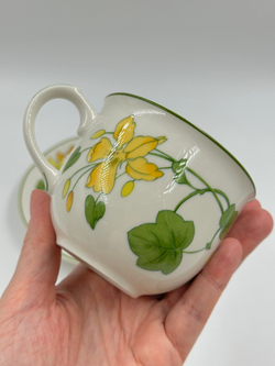 Чайная пара Villeroy & Boch, Geranium