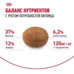 Сухой корм для стерилизованных кошек Royal Canin РАЗВЕСНОЙ