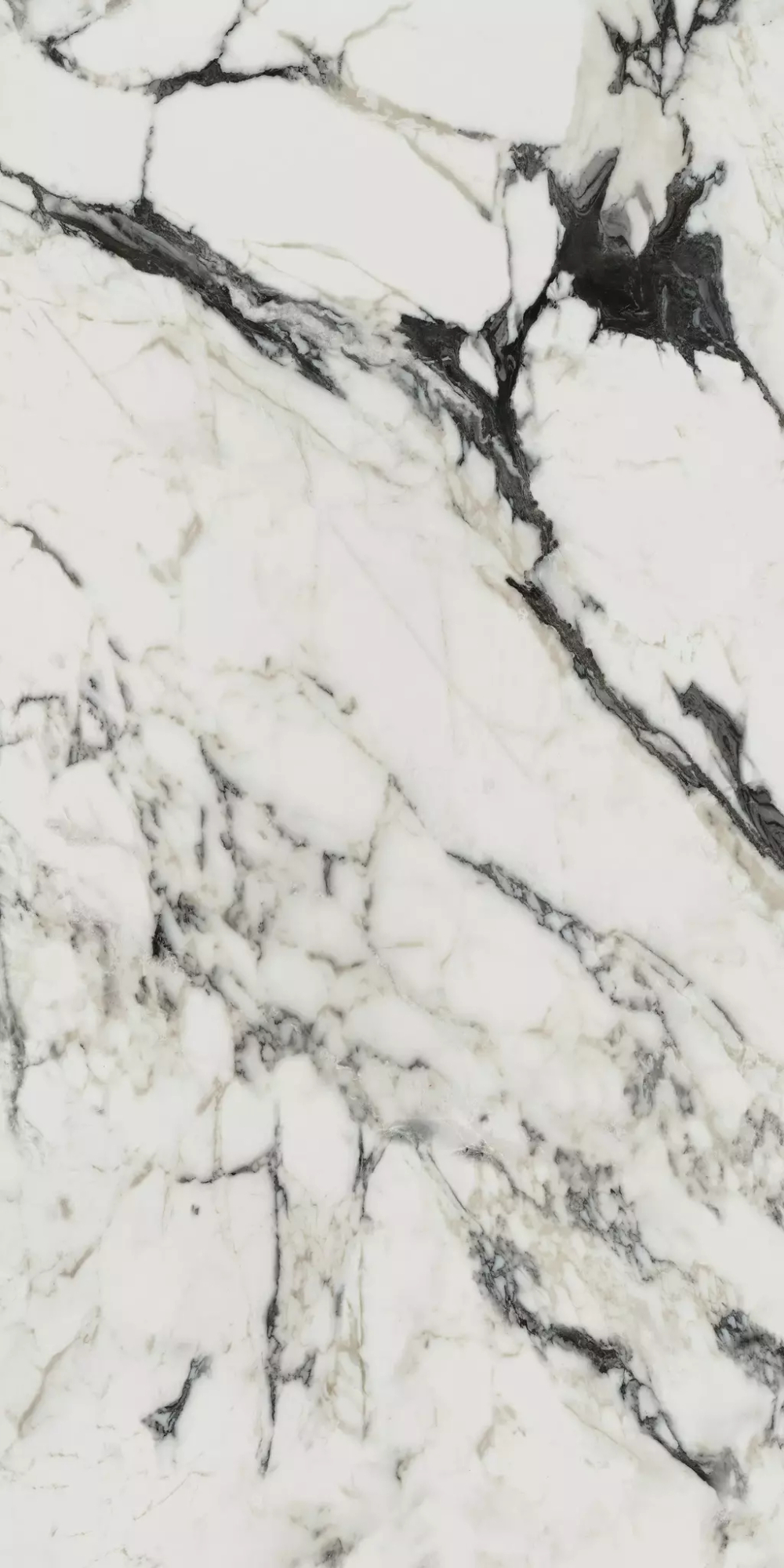 Керамогранит Bijoux Calacata Altissimo Blanc Matte