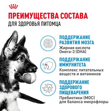 Royal Canin Maxi Puppy для щенков крупных пород