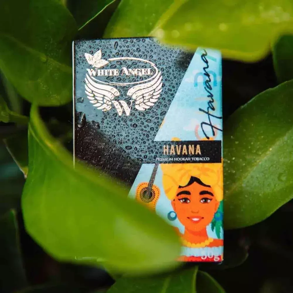 White Angel - Havana (50)