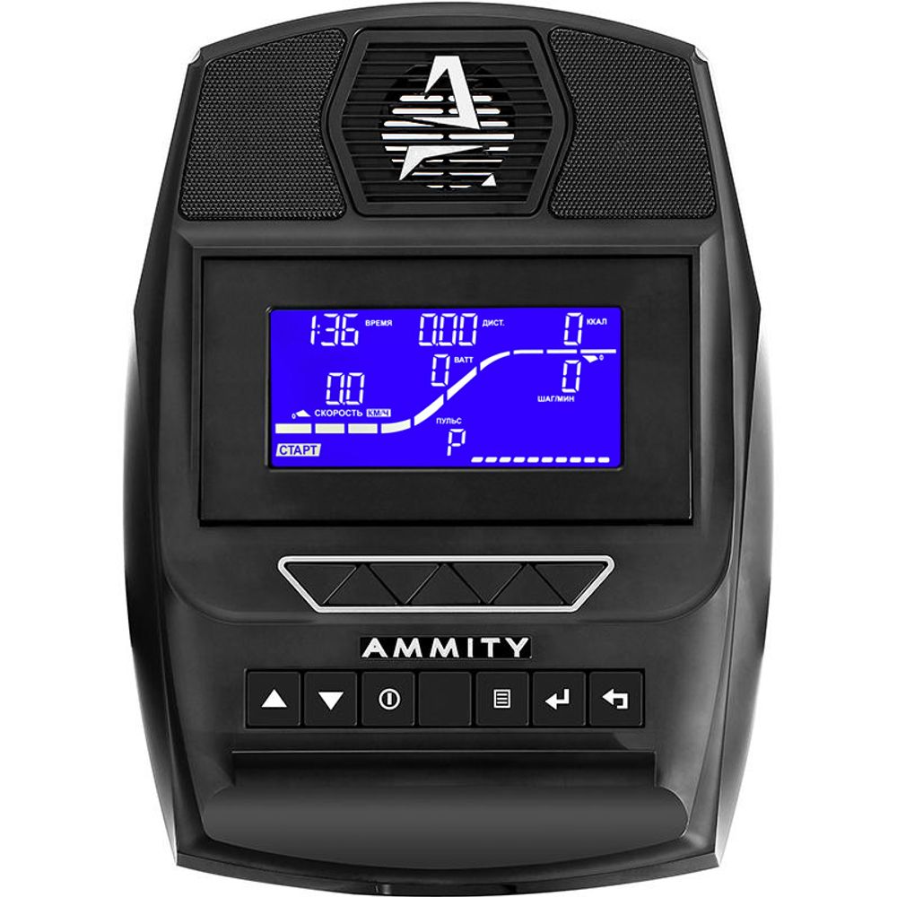 AMMITY Dream DE 10