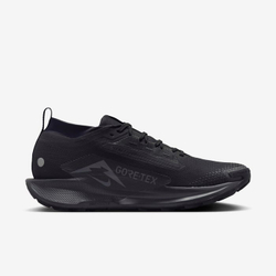 Кроссовки мужские NIKE Pegasus Trail 5 GORE-TEX