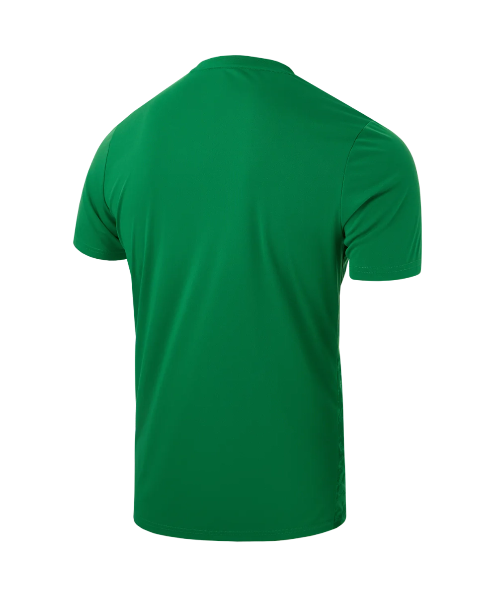 Футболка вратарская DIVISION PerFormDRY SPLASH GK Jersey, зеленый