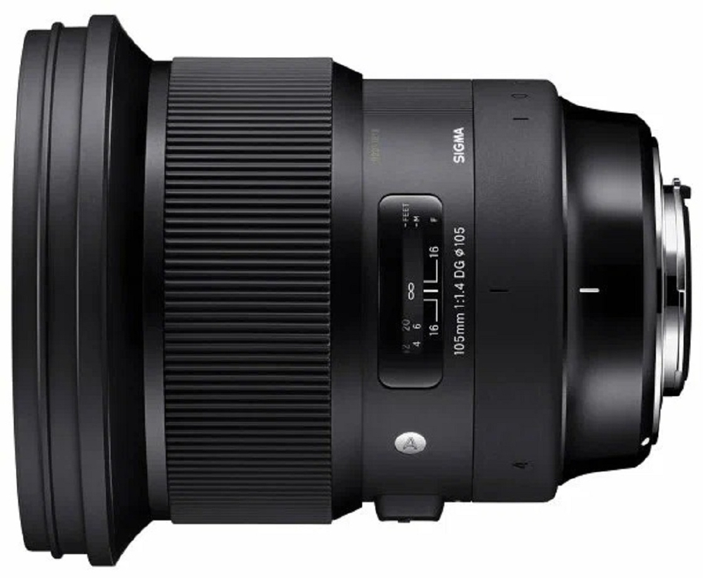 Объектив Panasonic LUMIX S 24-105mm f/4 MACRO O.I.S., макросъемка