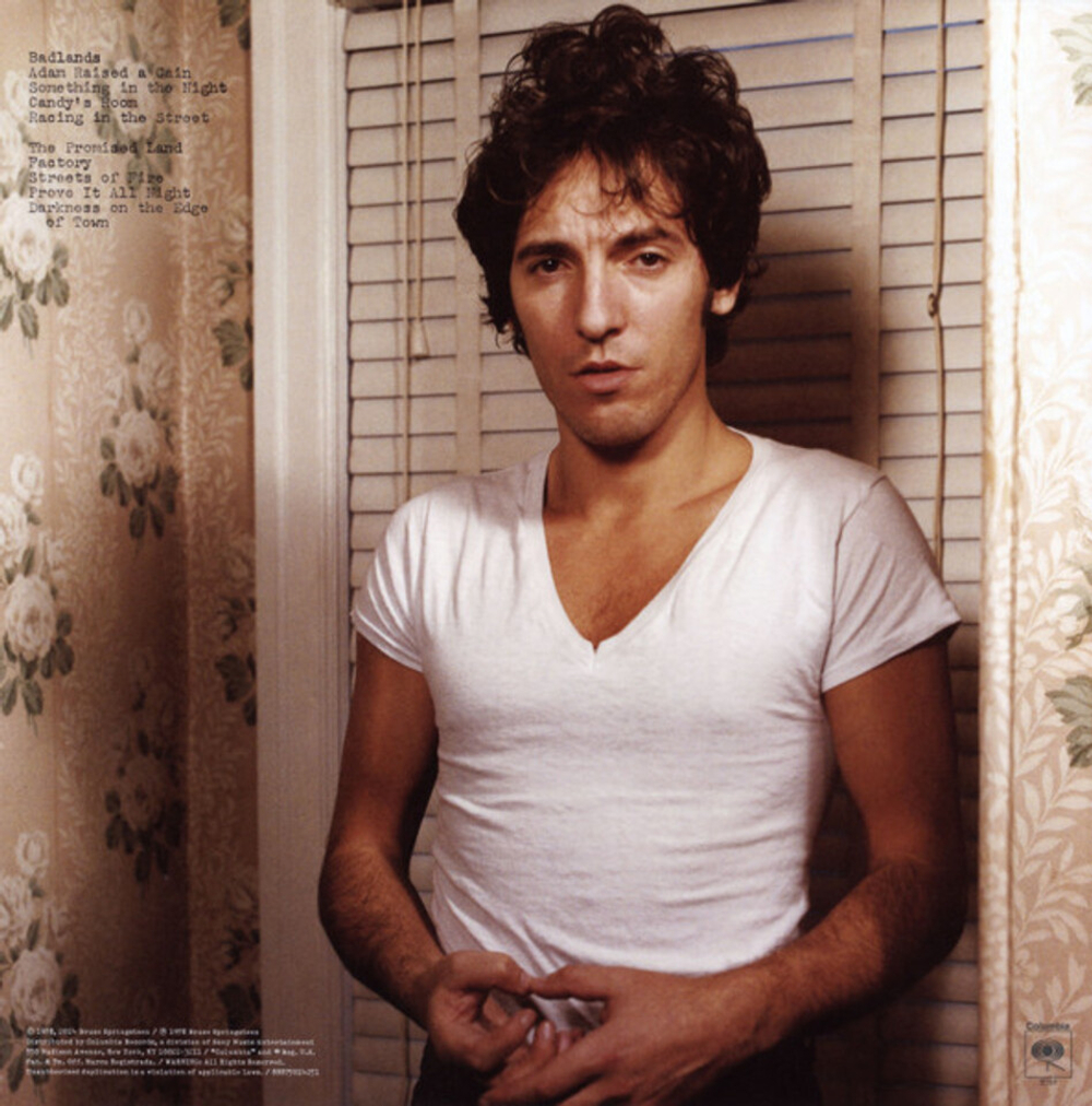 Bruce Springsteen / The Album Collection, Vol. 1 (8LP)