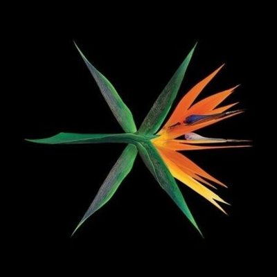 Альбом EXO - The War 4th Album CHINESE 3 Version SET