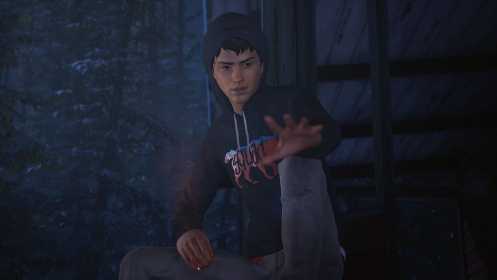 Life is Strange 2: полное издание