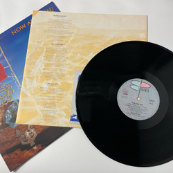 Винтажная виниловая пластинка LP Robert Plant Now And Zen (Италия 1988)