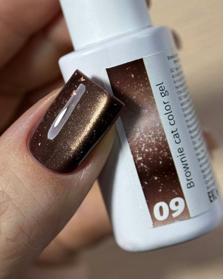 Brownie cat color gel 10g 09 Iperfect