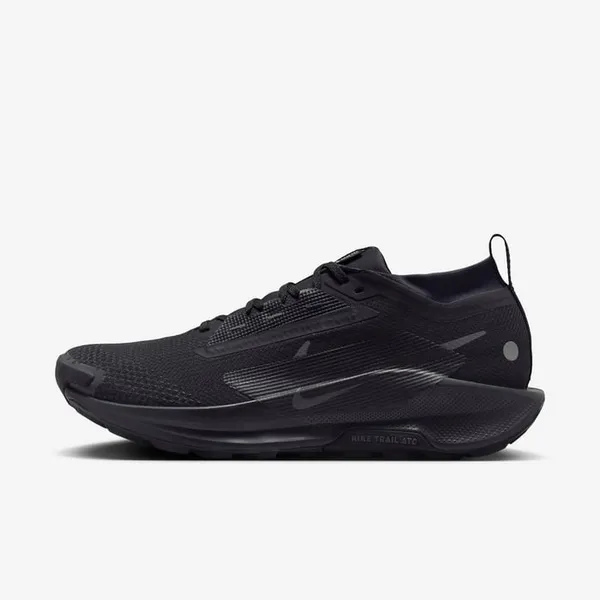 Кроссовки мужские NIKE Pegasus Trail 5 GORE-TEX
