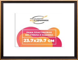 Рамка 23,7x29,7 для постера и фотографий