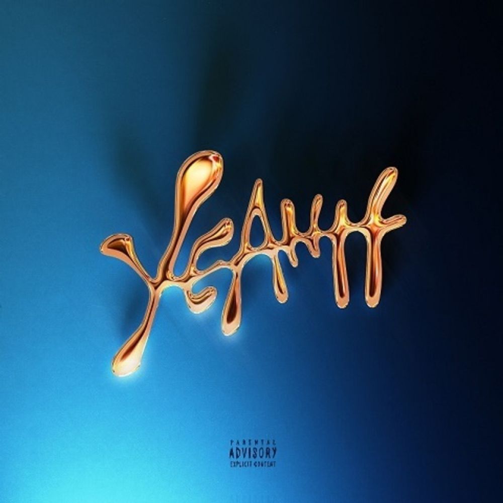Скриптонит / YEAHH (Limited Edition)(Picture Disc)(2LP) Скриптонит / YEAHH (Limited Edition)(Picture Disc)(2LP)