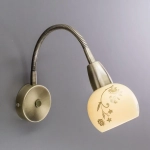 Citilux Соната CL520313 Спот гибкий с выключателем Бронза