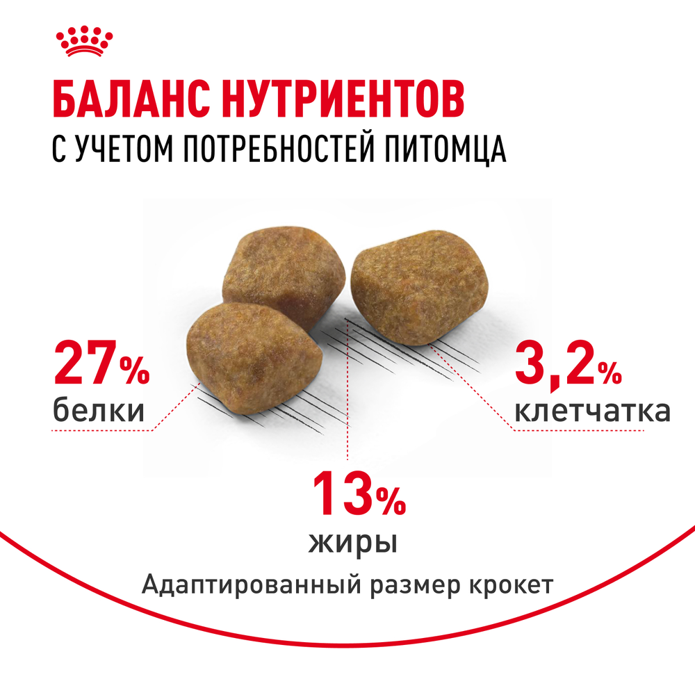 Royal Canin Indoor 7+ Индор Корм сухой сбалансированный для стареющих кошек в возрасте от 7 до 12 лет живущих в помещении 400г