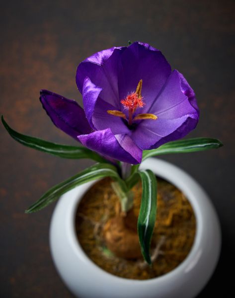 Сороковой очный мастер-класс Silk Blossom: когда расцветает крокус. Сороковой очный мастер-класс Silk Blossom: когда расцветает крокус.