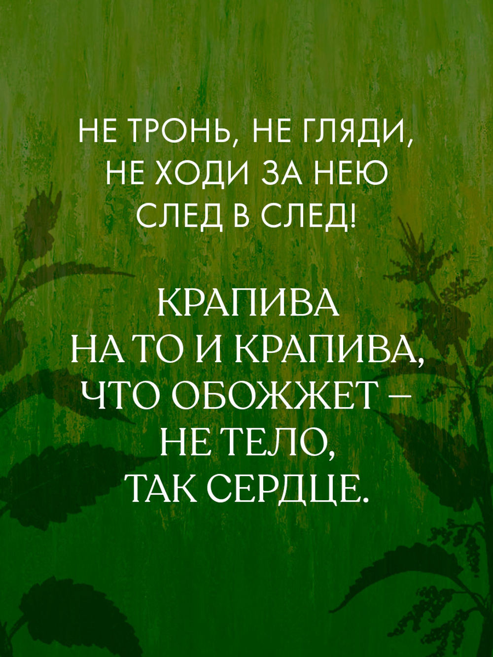 Крапива (подарочное)