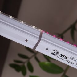 Светильник для растений, фитолампа светодиодная линейная ЭРА FITO-16W-Т5-N красно-синего спектра 16 Вт Т5 | Линейные фито светильники