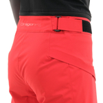 ШТАНЫ ГОРНОЛЫЖНЫЕ УТЕПЛЕННЫЕ DRAGONFLY GRFVITY PREMIUM WOMAN