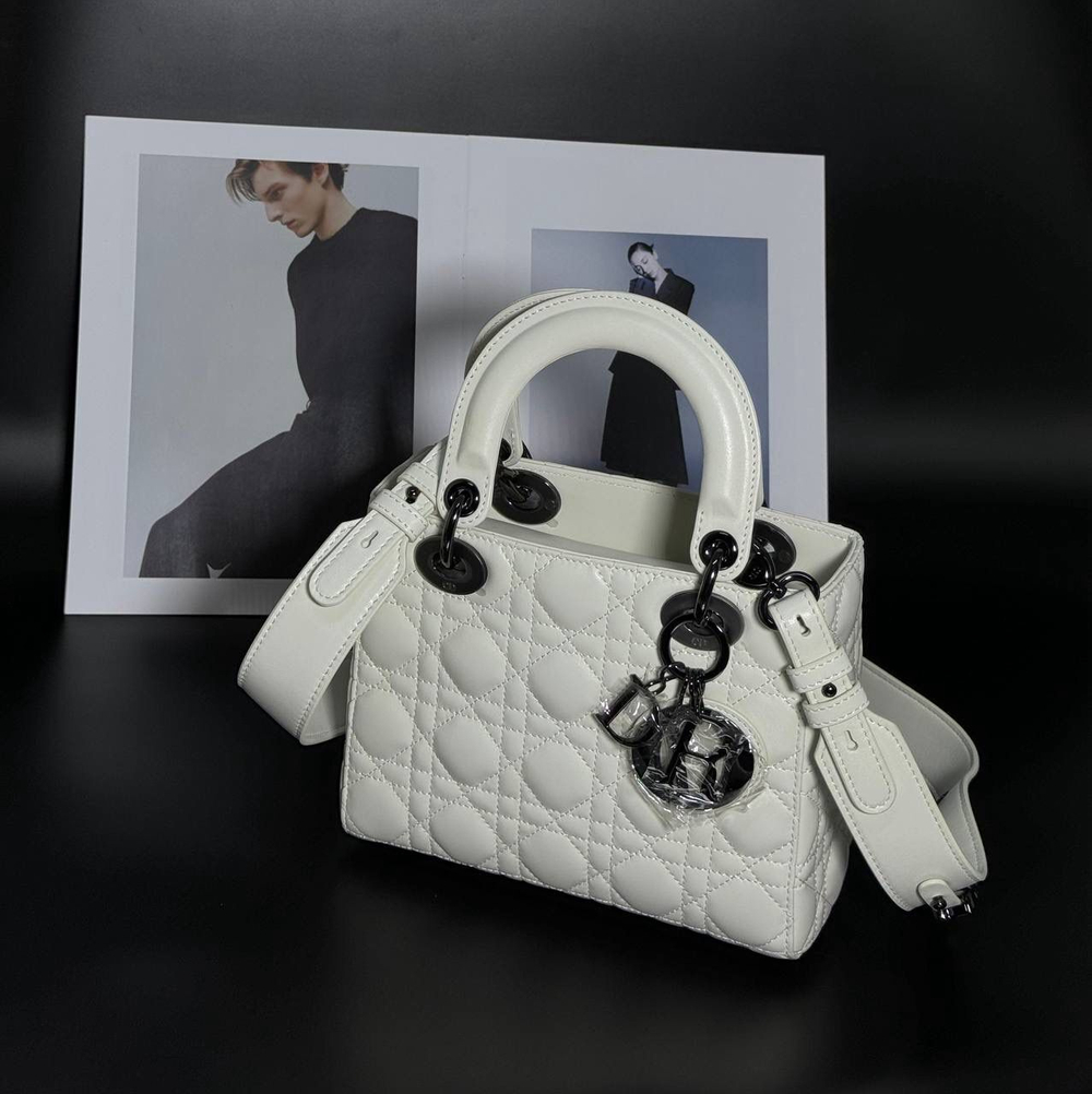 Сумка Dior 20 см