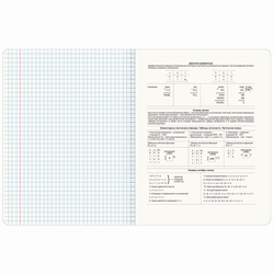Тетрадь предметная "PASTEL" 48 л., SoftTouch, фольга, ИНФОРМАТИКА, клетка, BRAUBERG, 404315