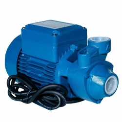 Насос вихревой EKm60-1 Aquastrong