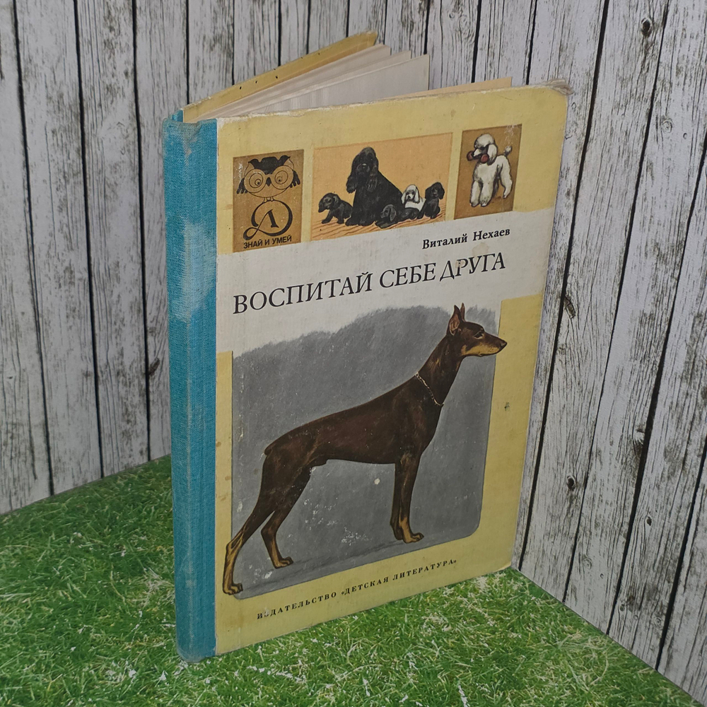 Книга "Воспитай себе друга"