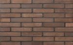 Кирпич клинкерный Plinfa Iron 2814, 270x85x50