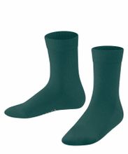 Носки Family FALKE 12998/7380