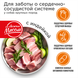 Корм сухой для взрослых собак крупных пород, премиум полнорационный комплекс, для заботы сердечно-сосудистой системы, с индейкой, 2,5 кг, QUATTRO