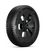 Зимняя шина Ikon Tyres Autograph Snow C4 (195/75 R16C 112R)