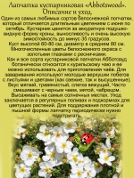 Лапчатка Абботсвуд курильский чай