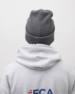 Шапка Anteater Hat-Grey