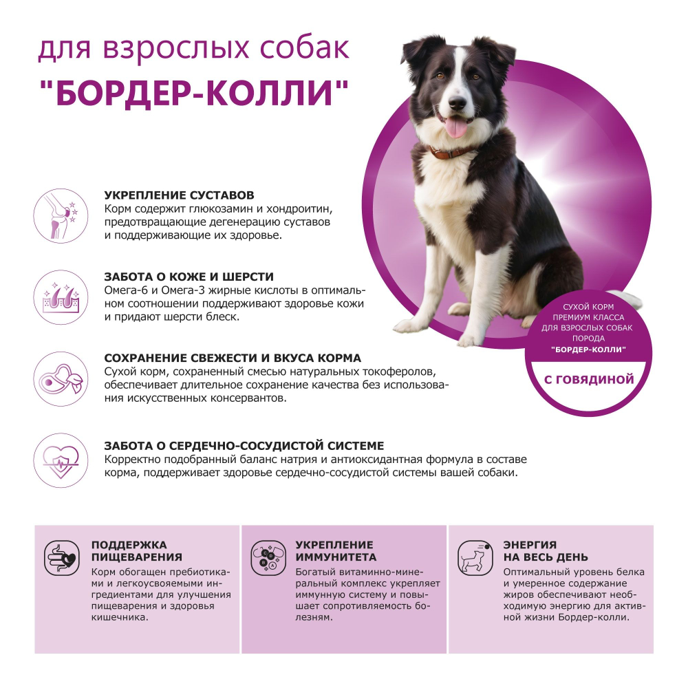 Корм сухой для взрослых собак породы Бордер-колли, премиум полнорационный комплекс, с говядиной, 12 кг, QUATTRO