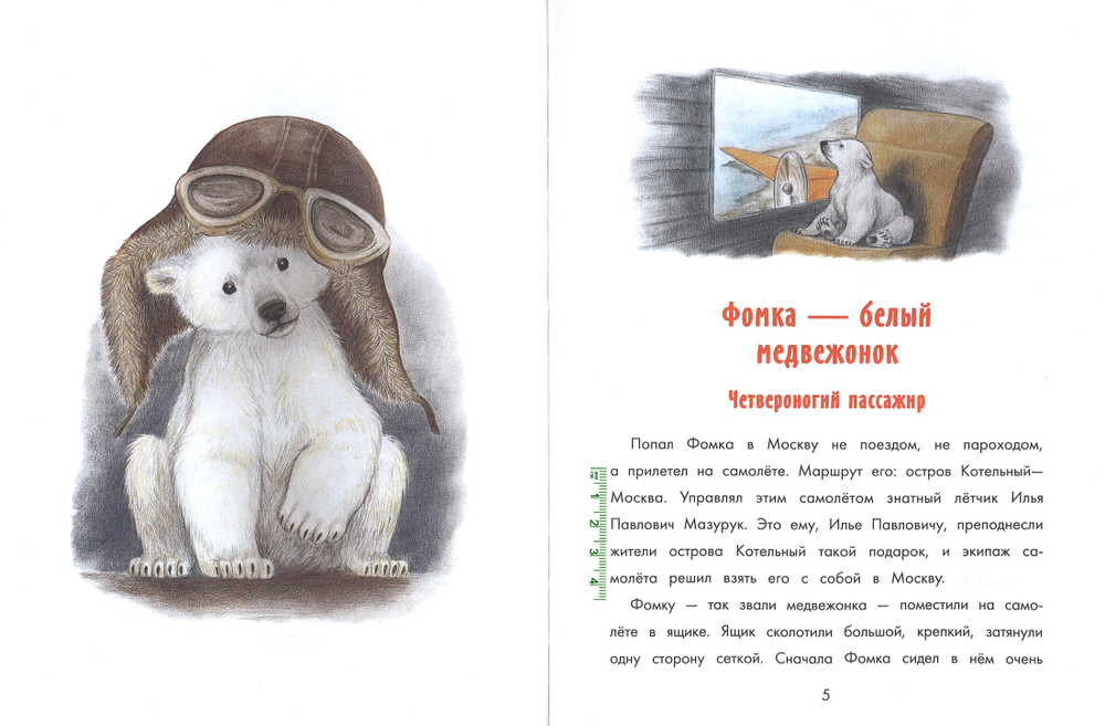 Фомка — белый медвежонок