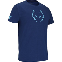 Мужская теннисная футболка Babolat Cotton Lebron - небесный