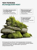 Экстракт исландского мха, ИСЛАНДИКА, 24таб