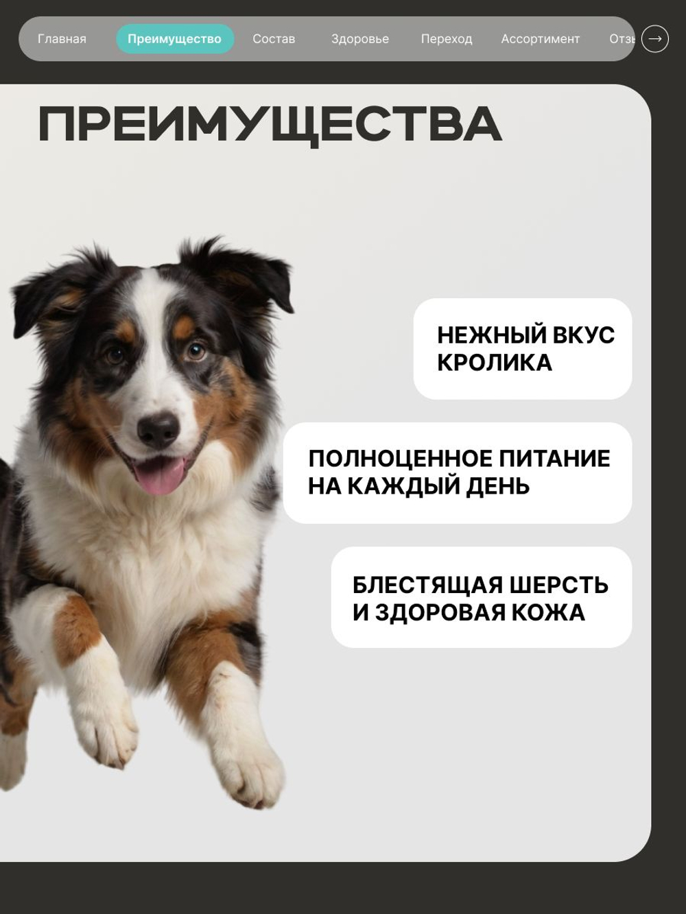 Корм сухой для средних и крупных собак, полнорационный сбалансированный, с кроликом, 12 кг, QUATTRO