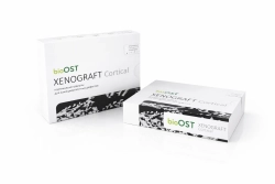 Кортикальные гранулы XENOGRAFT Cortical