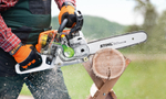 Бензопила STIHL MS 231 16' 0.325 1,6мм