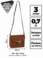RION+ 619BRW — инфографика