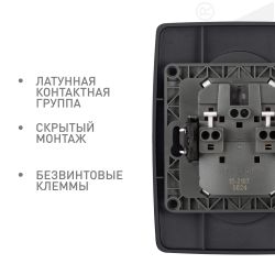Розетка ЭРА Серия 12 12-2107-05 двойная без заземления 2X2P 16A-250В IP20 антрацит | Эра 12